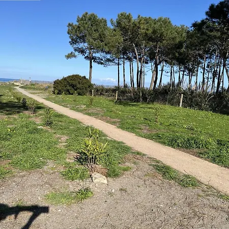 Διαμέρισμα Borgo, 1 Piece, 4 Personnes - Fr-1-650-26 *
